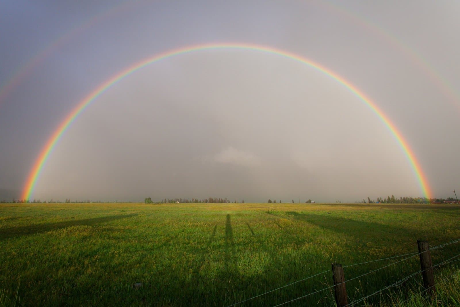 Kvalitní potraviny na vzestupu. Češi za ně loni utratili stovky milionů.