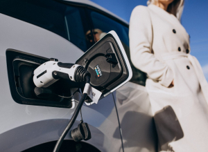 Plány na elektromobilitu letos tvrdě narazily na realitu