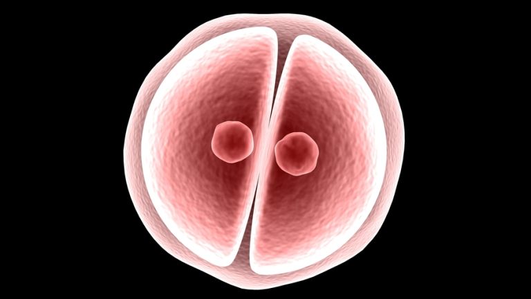 Zdárné provedení chemické operace lidského embrya