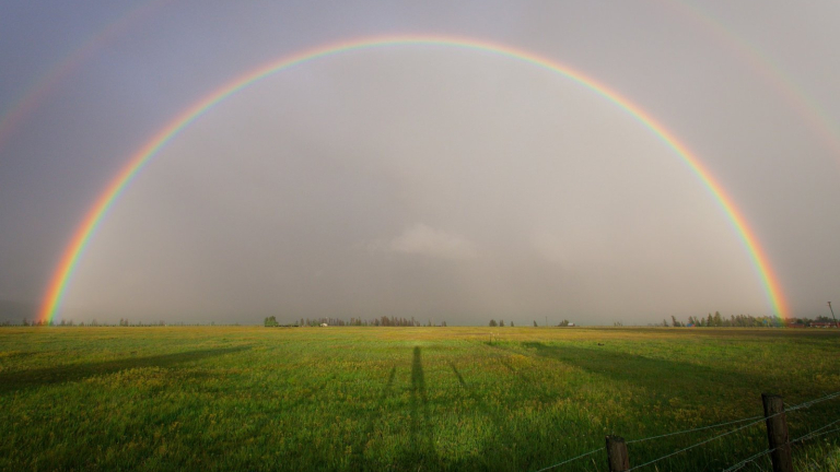 Kvalitní potraviny na vzestupu. Češi za ně loni utratili stovky milionů.